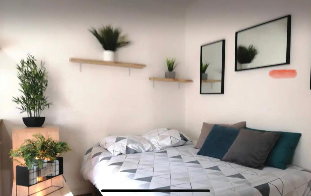 Studio Chaleureux Le Coeur -Troyes Centre Ville Екстер'єр фото