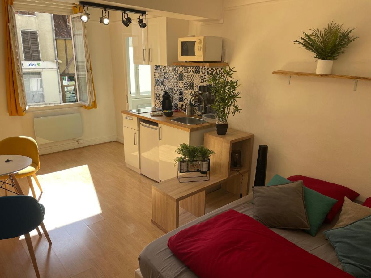 Studio Chaleureux Le Coeur -Troyes Centre Ville Екстер'єр фото